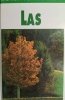 LEKSYKON PRZYRODNICZY – LAS